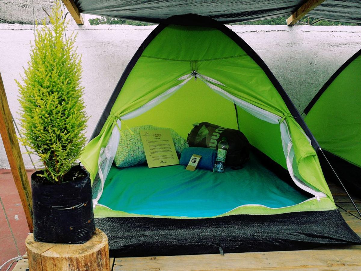 Camping & Travel Antigua Exteriér fotografie